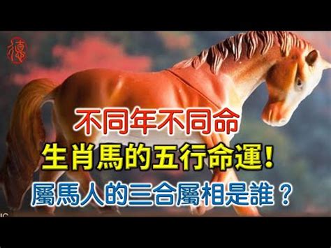 馬的五行|屬馬人的五行性格分析及福貴